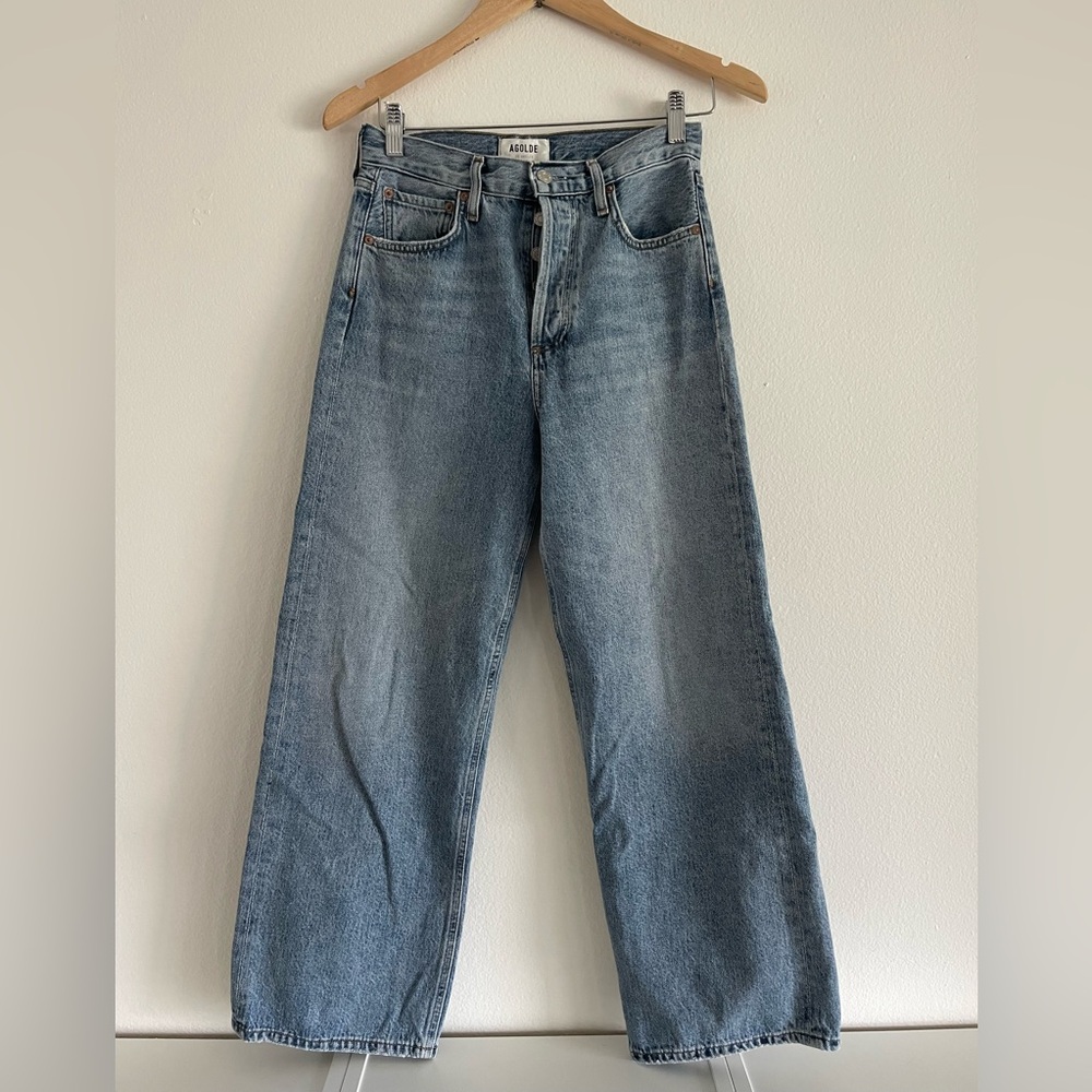 Agolde REN Jeans High Rise Wide Leg disclosure wash